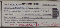 Image Associated With the Occurence